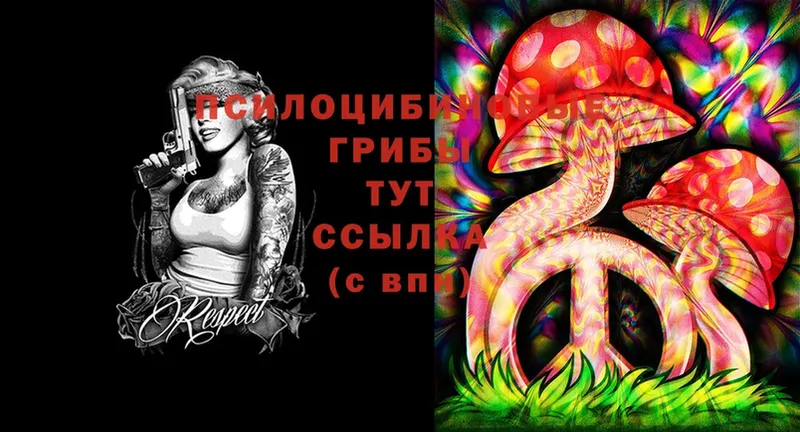 мега вход  Гай  дарк нет как зайти  Галлюциногенные грибы Psilocybe 